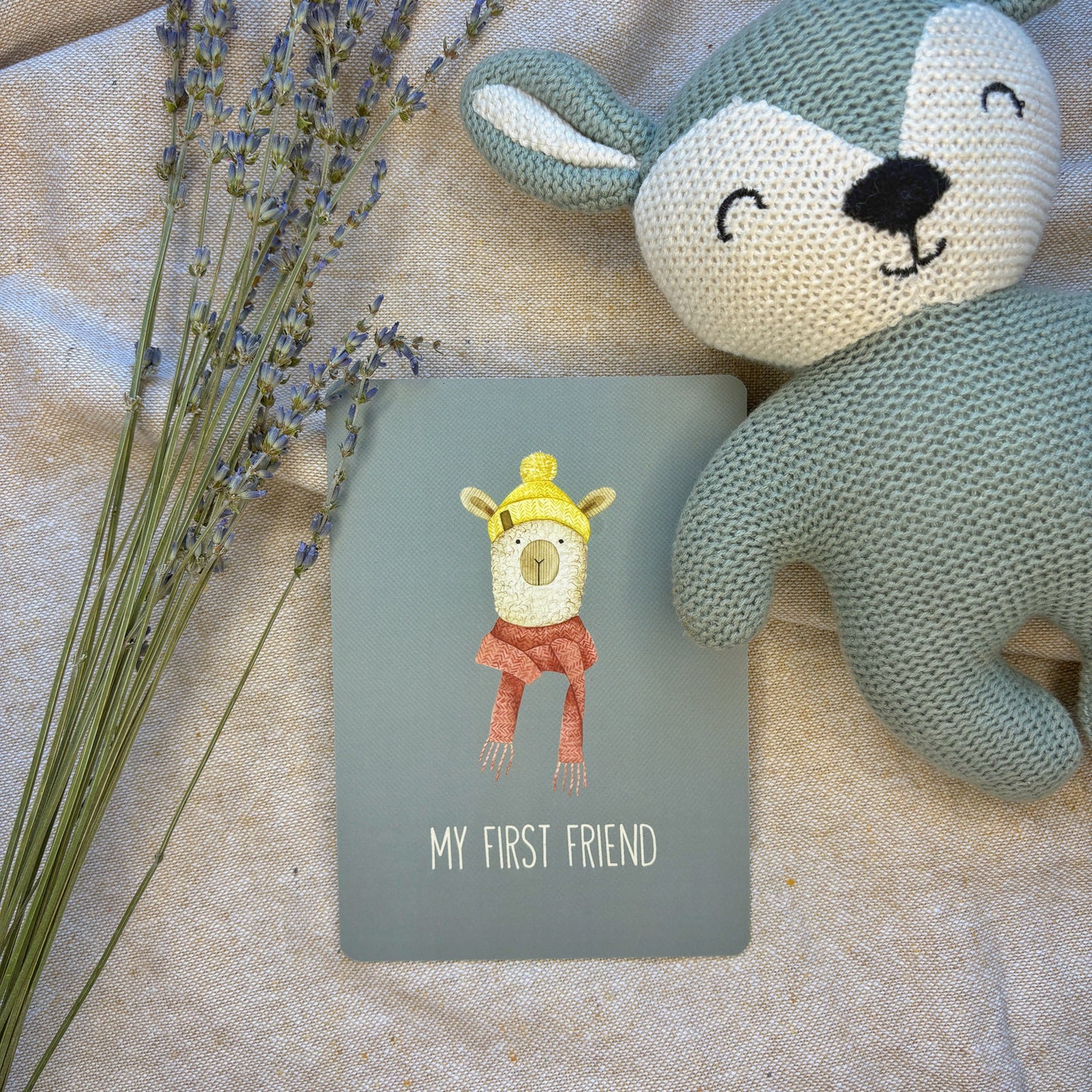 Baby Milestone Cards